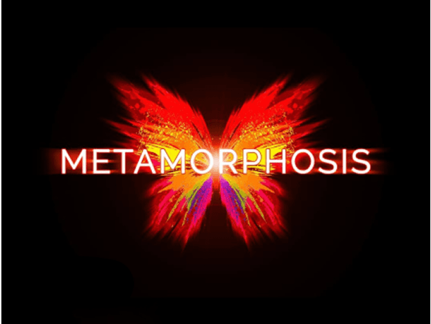 Metamorphosis